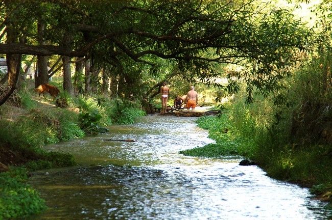 Camping Municipal La Chacra