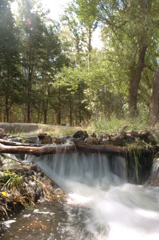Camping Municipal La Chacra